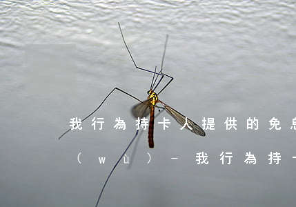 我行為持卡人提供的免息分期業(yè)務(wù)-我行為持卡人提供的免息分期業(yè)務(wù)有