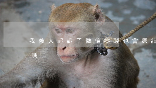 我被人起訴了微信零錢也會凍結(jié)嗎