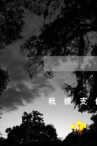 我被支付寶起訴了,不知道還能不能坐動(dòng)車（我被支付寶起訴）