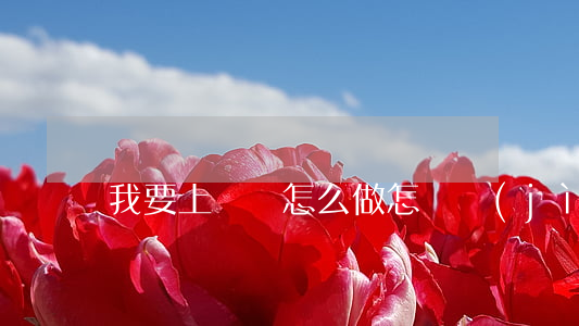 我要上訴該怎么做(怎樣進(jìn)行上訴)