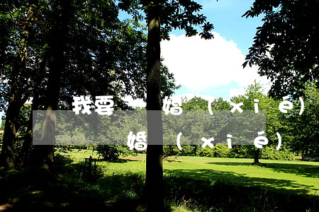 我要寫離婚協(xié)議書怎么寫呀(我想寫離婚協(xié)議書)