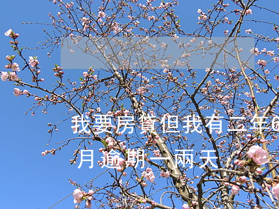 我要房貸但我有二年6個月的逾期(房貸每個月逾期一兩天)