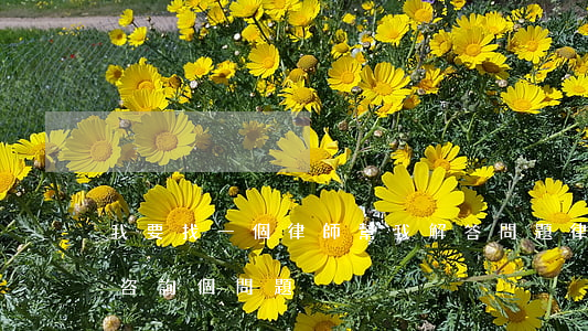 我要找一個律師幫我解答問題(律師你好我想咨詢個問題)