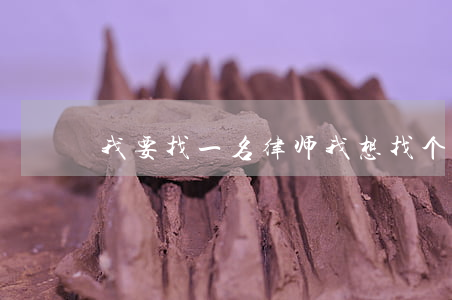 我要找一名律师(我想找个好律师)