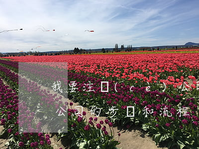 我要注冊(cè)公司流程(新注冊(cè)公司的步驟和流程)
