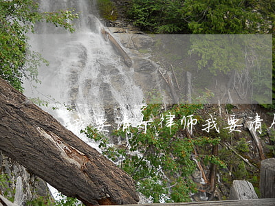 我要请个律师(我要请个律师)