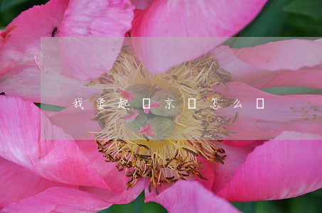 我要起訴京東怎么辦