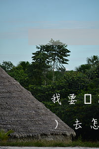 我要還款分期樂(lè)還不了進(jìn)去怎么辦-分期樂(lè)還款還不上怎么辦