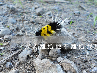 我要離婚他不離婚我該怎么辦