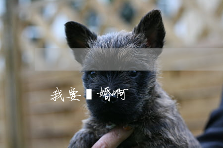 我要離婚啊