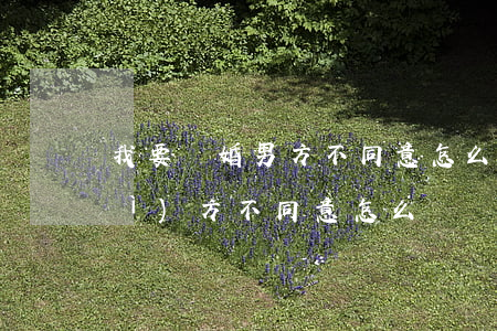 我要離婚男方不同意怎么辦(要離婚對(duì)方不同意怎么辦?)