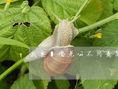 我要離婚老公不同意怎么辦
