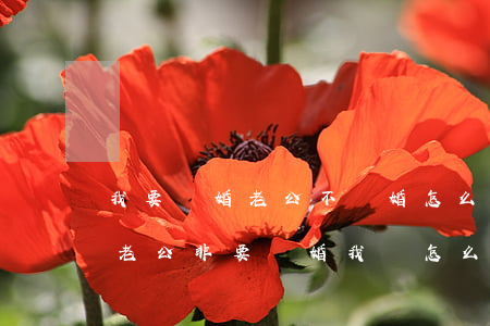我要離婚老公不離婚怎么辦(我不想離婚但是老公非要離婚我該怎么辦)