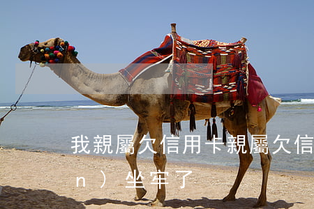 我親屬欠信用卡(親屬欠信用卡幾十萬(wàn)坐牢了)