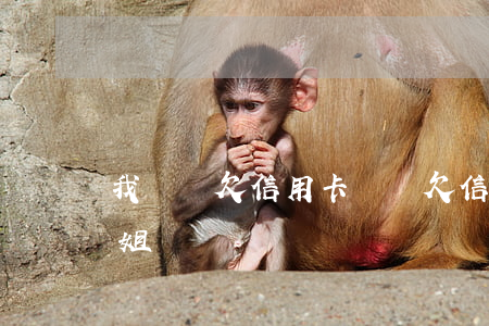 我親屬欠信用卡(親屬欠信用卡錢法院傳票親姐)