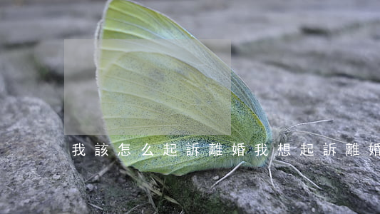 我該怎么起訴離婚(我想起訴離婚該怎么做)