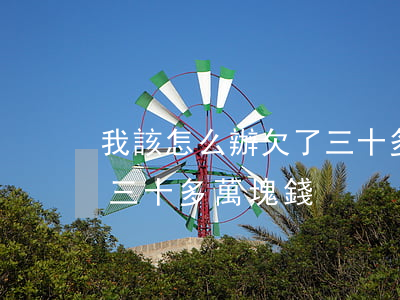 我該怎么辦 欠了三十多萬-我該怎么辦 欠了三十多萬塊錢
