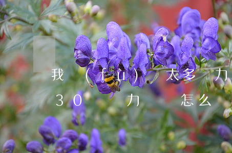 我負(fù)債太多壓力好大怎么辦-欠款30萬無力償還怎么辦