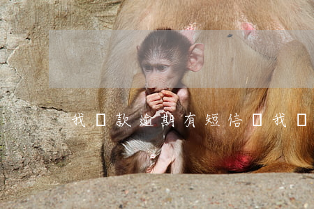 我貸款逾期，有短信說我貸款逾期