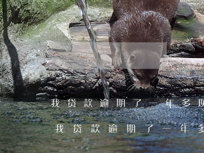我贷款逾期了一年多现在还没还有影响吗?-我贷款逾期了一年多现在还没还有影响吗