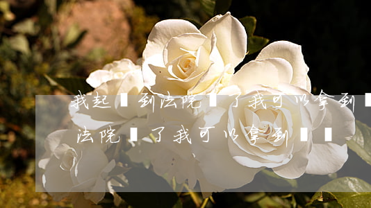 我起訴到法院贏了我可以拿到錢嗎(我起訴到法院贏了我可以拿到錢嗎)