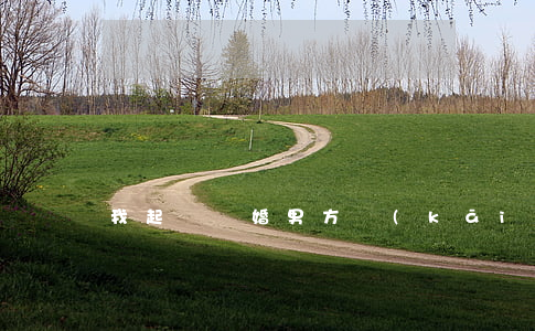 我起訴離婚男方開(kāi)庭不去怎么辦