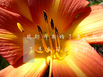 我起诉离婚了多久能判下来(起诉离婚判离婚了多久可以拿到判决书)