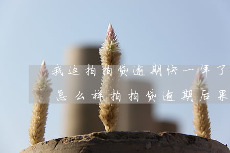 我这拍拍贷逾期快一年了(拍拍贷逾期一天会怎么样?拍拍贷逾期后果介绍)
