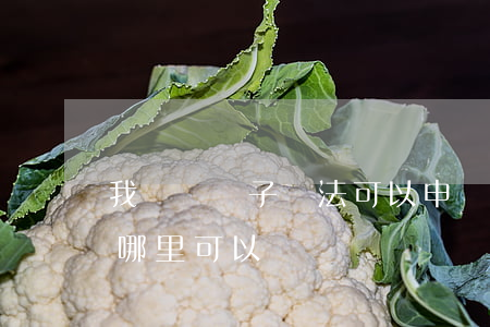 我這個電子違法可以申訴嗎(電子違章申訴在哪里可以辦)