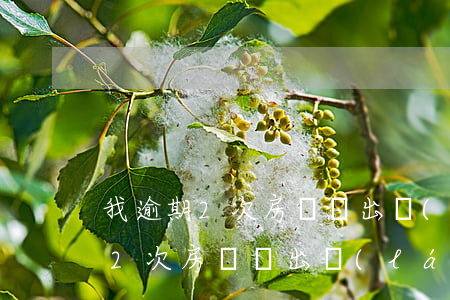 我逾期2次房貸帶出來(lái)了(我逾期2次房貸帶出來(lái)了)