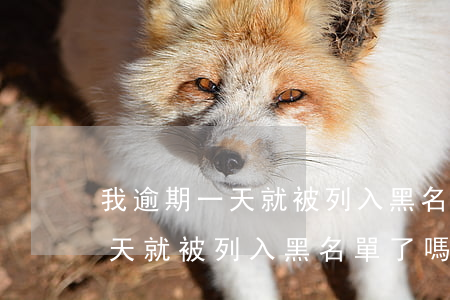 我逾期一天就被列入黑名單了嗎-我逾期一天就被列入黑名單了嗎怎么辦