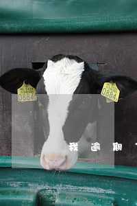 我逾期了20天(逾期二十天怎么辦)