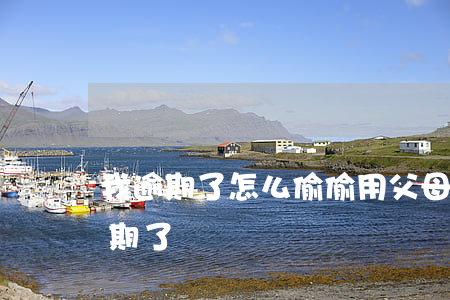 我逾期了怎么偷偷用父母房抵押貸款（我要逾期了）