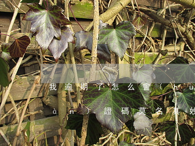 我逾期了怎么會(huì)收到法院驗(yàn)證碼(莫名其妙收到法院驗(yàn)證碼)