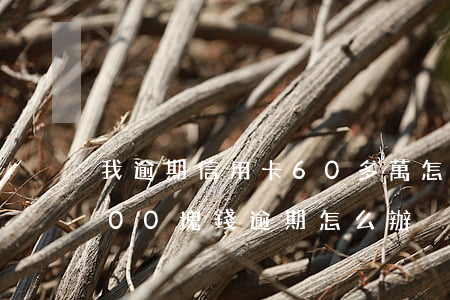 我逾期信用卡60多萬怎么辦-信用卡6000塊錢逾期怎么辦