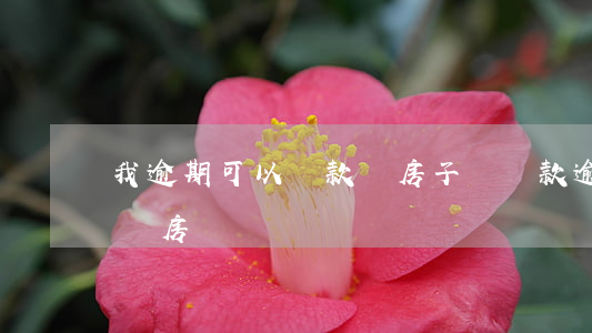 我逾期可以貸款買房子嗎(貸款逾期還能貸款買房嗎)