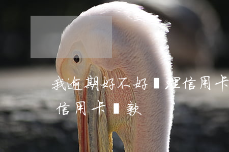 我逾期好不好辦理信用卡(我逾期好不好辦理信用卡貸款)