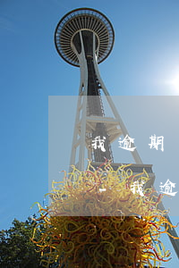 我逾期幾個(gè)月了是不是上黑名單了-我逾期幾個(gè)月了是不是上黑名單了呢