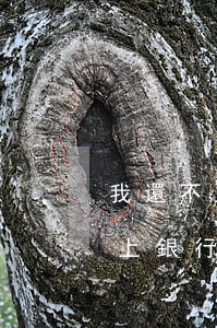 我還不上銀行貸款和信用卡怎么辦-我還不上銀行貸款和信用卡怎么辦呢