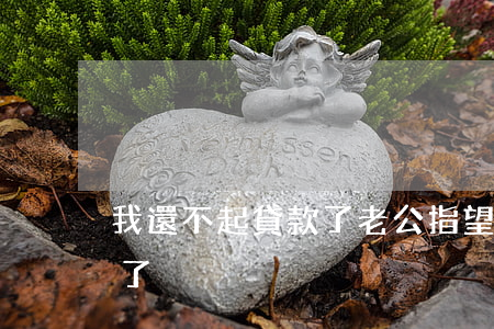 我還不起貸款了 老公指望不上（我還不起貸款了）
