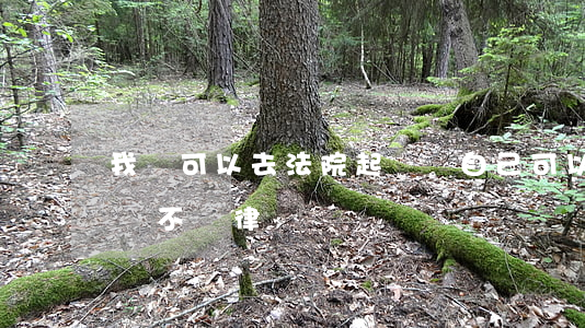 我還可以去法院起訴嗎(自己可以去法院起訴嗎不請律師)