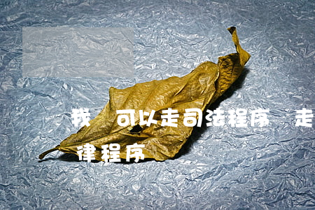 我還可以走司法程序嗎(走司法程序就是走法律程序嗎)