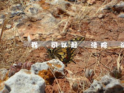 我還可以起訴法院嗎(法院可以被起訴嗎)