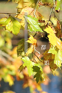 我都出軌又不能離婚怎么辦(老公出軌了又不離婚我該怎么辦)
