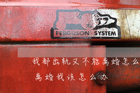 我都出轨又不能离婚怎么办(老公出轨了又不离婚我该怎么办)