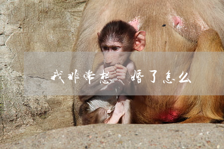 我非常想離婚了怎么辦
