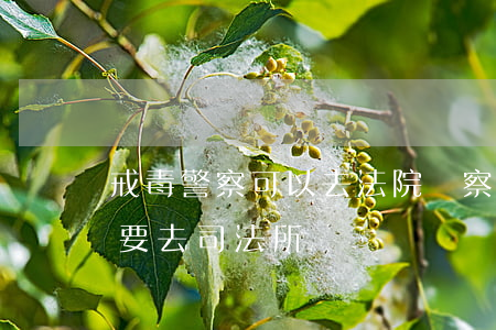 戒毒警察可以去法院檢察院嗎(戒毒人員為啥要去司法所)