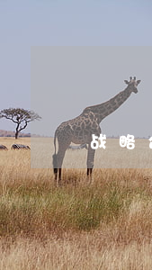 战略合作协议书范本(合作协议模板)