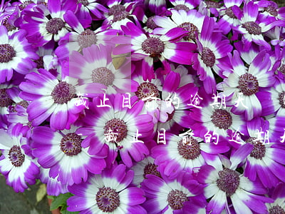 截止目前的逾期天數(shù)的計算公式-截止目前的逾期天數(shù)的計算公式是什么