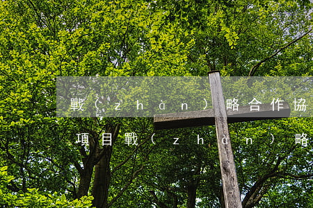 戰(zhàn)略合作協(xié)議范本(項目戰(zhàn)略合作協(xié)議范本)